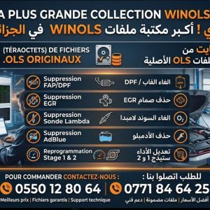 À vendre : Base de données de reprogrammation moteur (chiptuning) au format OLS